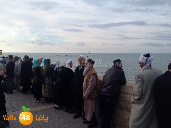 wofod tajekstna (1).JPG